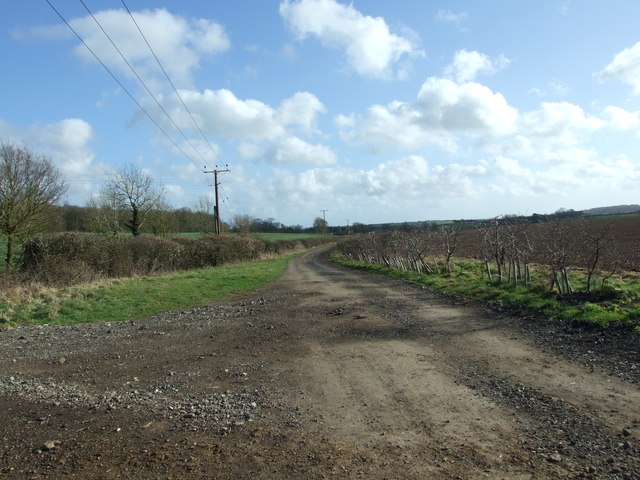 Track towards Dean Farm