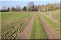 The Severn Way at Severn Stoke