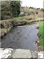 The Clanrye River immediately above Glenny