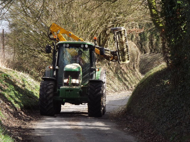 Hedge Trimming on Sotherington Lane