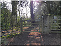 Gate and Path, Newark Park Estate