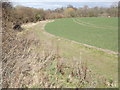 Field Edge, Selborne