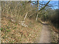 Towpath near site of Coxmoor Swing Bridge