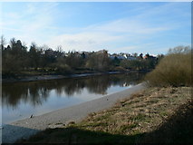 SJ4065 : The river Dee near the Grosvenor Bridge by Eirian Evans