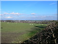 Looking east from Gwernymynydd over the fields to Mold