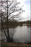 SK4563 : Row Ponds in Hardwick Hall Country Park by Graham Hogg