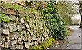 Drystone wall, Belfast