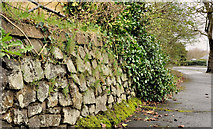 J3470 : Drystone wall, Belfast by Albert Bridge