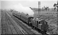 Down stopping train on Erewash Valley line near Stoneyford Junction