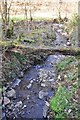 Mid Devon : Stream in Chample