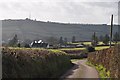 Mid Devon : Countryside Road