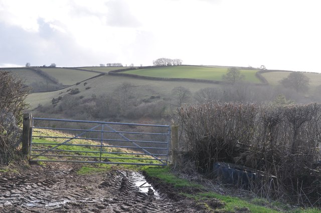 Mid Devon : Gate & Field Entrance