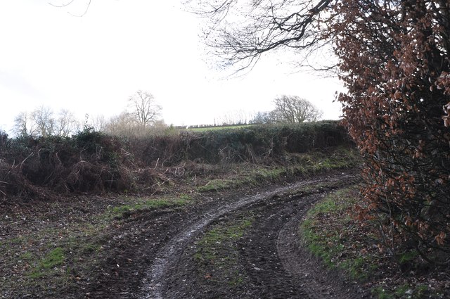 Mid Devon : Muddy Track