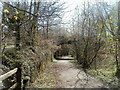 Cycle route and footpath formerly a railway line south of Pontllanfraith