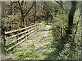 Footbridge across the Sirhowy north of Ynysddu