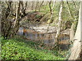 Pebbly Sirhowy north of Ynysddu