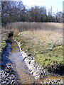 Drainage Ditch from Tates Copse