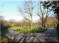 View over Hyde Cemetery