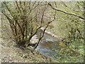 Rocky Sirhowy north of Ynysddu