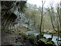 SK1273 : Crags looming over the River Wye in Chee Dale by Andrew Hill