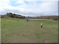 Part of Alyn Waters Country Park