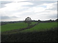 Farm access lane of the Castlewellan Road