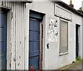 Rosetta Cottages, Belfast (2012-3)