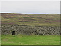 Sheep hole at Steward Shield Meadow