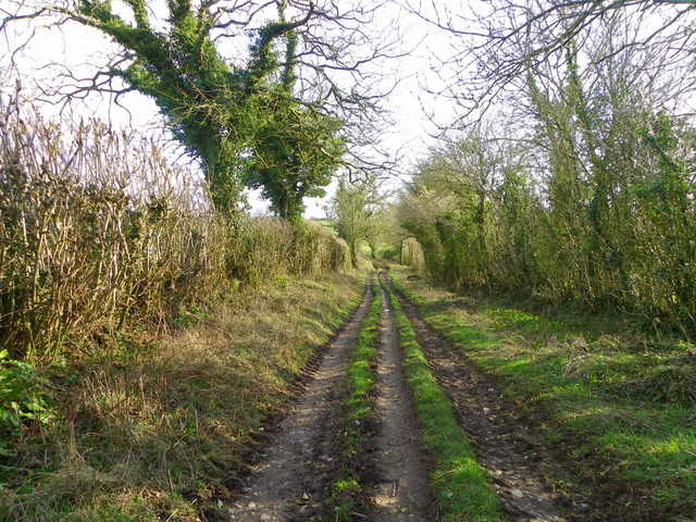Holcombe Lane