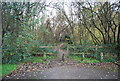 Footpath off St Clemants Rd