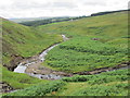 NY9842 : The valley of Stanhope Burn (4) by Mike Quinn