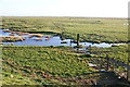 Wrea Brook salt marshes