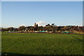 Allotments at Warton