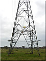 Pylons marching on Christchurch