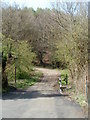 This way to the Sirhowy Valley Walk near Ynysddu