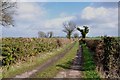 Green Lane, a Farm access Track off the A513