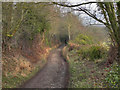 Shropshire Way, Wenlock Edge