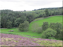 NY9841 : The valley of Stanhope Burn below Hope House by Mike Quinn
