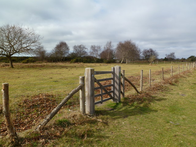 Godlingston Heath, gate
