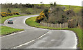 The Hillsborough Road, Comber (2)