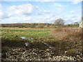 Fields at Cloatley End, looking towards Flisteridge Wood