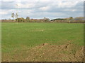ST9892 : Fields near Eastcourt by David Purchase