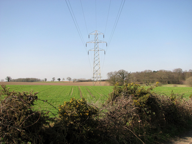 Electricity line across fields by Sisland Carr