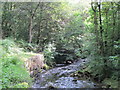 Haltwhistle Burn (3)