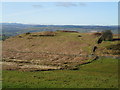 Gardden Iron Age Hillfort