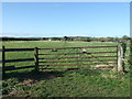 Bridleway, off Bagwood Road