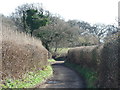 Bridleway, North of Muddox Barrow Coppice