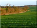 SU3173 : Farmland, Chilton Foliat by Andrew Smith