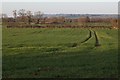 View across fields from the Bridleway