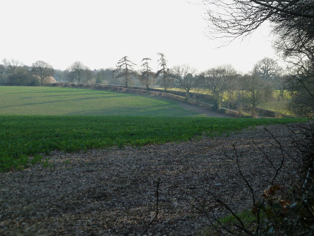 Little Twye Road from Drayton Wood